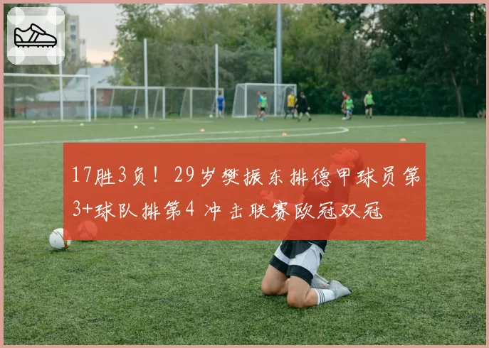 17胜3负！29岁樊振东排德甲球员第3+球队排第4 冲击联赛欧冠双冠