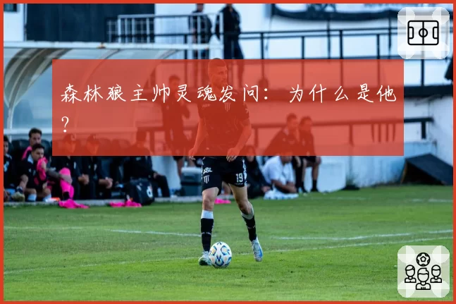 森林狼主帅灵魂发问：为什么是他？