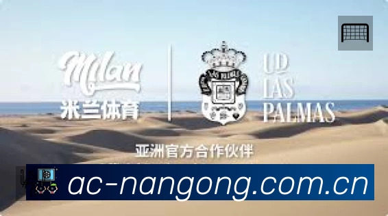 安全防护与风控机制